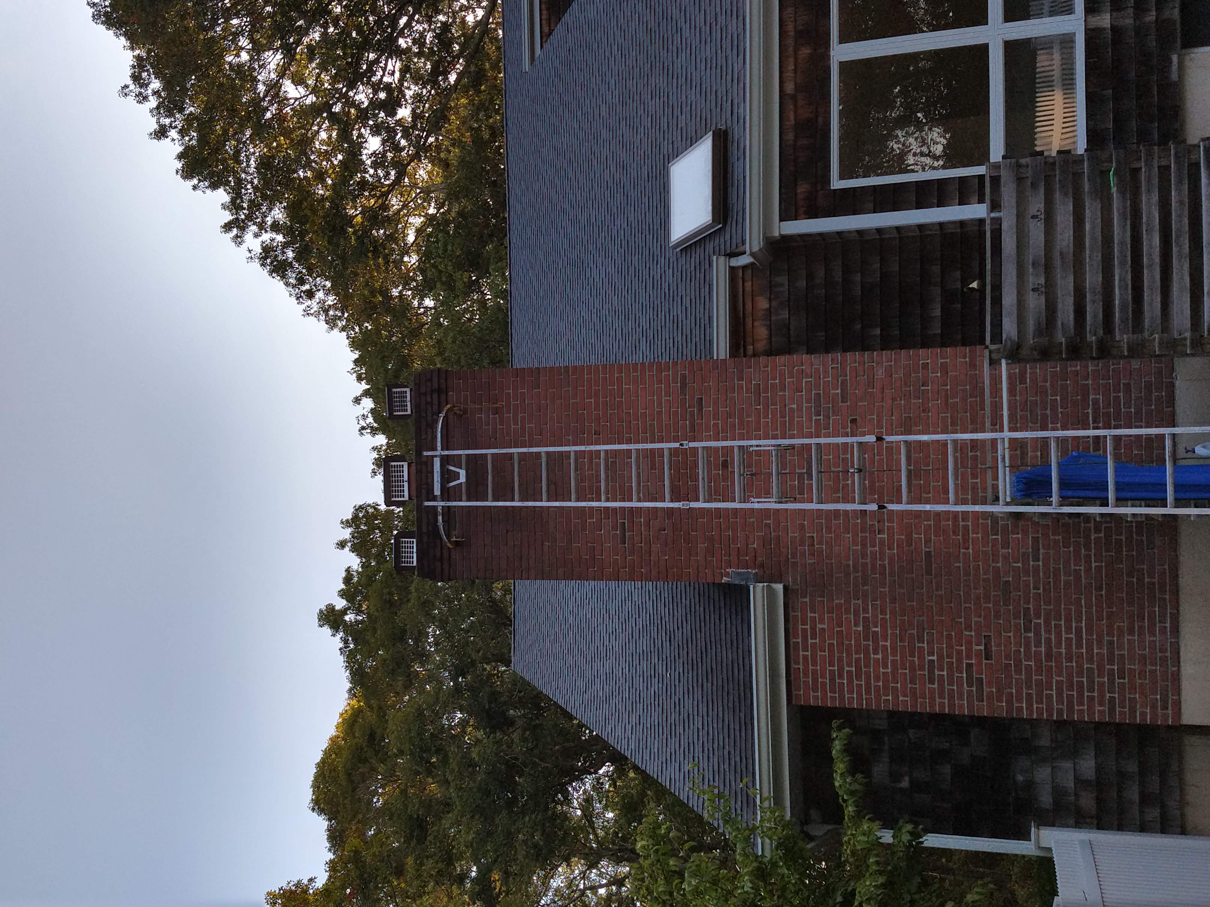 A PROFESSIONAL REMOVING A BIRD'S NEST FROM A BLOCKED CHIMNEY FLUE IN FARMINGDALE